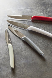 Show products in category Couteaux Picture for category Couteaux