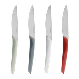 Show details for Couteau à steack Inox Gamme ALLUREL 22.5 cm Avec manche en plastique Le lot de 4 pièces Picture of Couteau à steack Inox Gamme ALLUREL 22.5 cm Avec manche en plastique Le lot de 4 pièces
